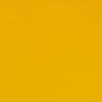 Outdoor 6000 Yellow 119